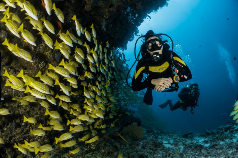 Dive conditions at Key Largo
